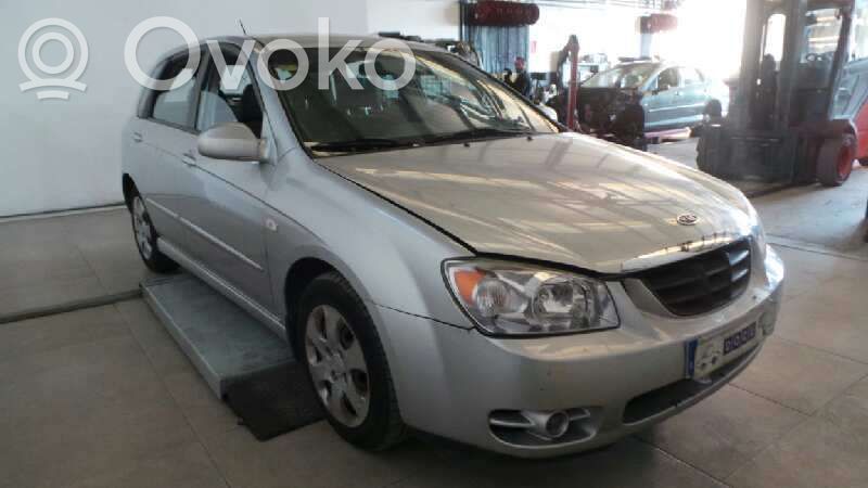 Cerato Cerato  811302F000