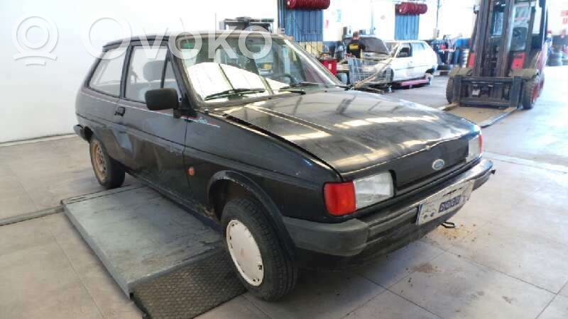 Fiesta Fiesta  6112703