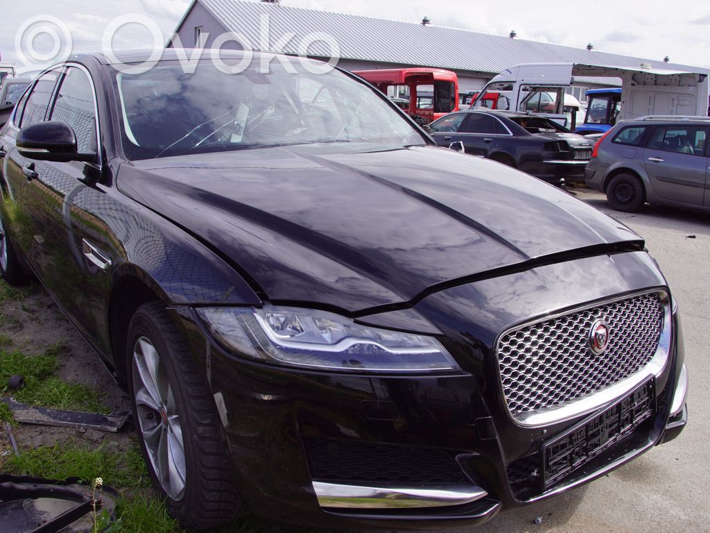 XF X260 XF