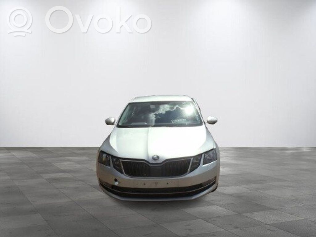 Octavia Mk3 (5E) Octavia  NEDERSTMIDT