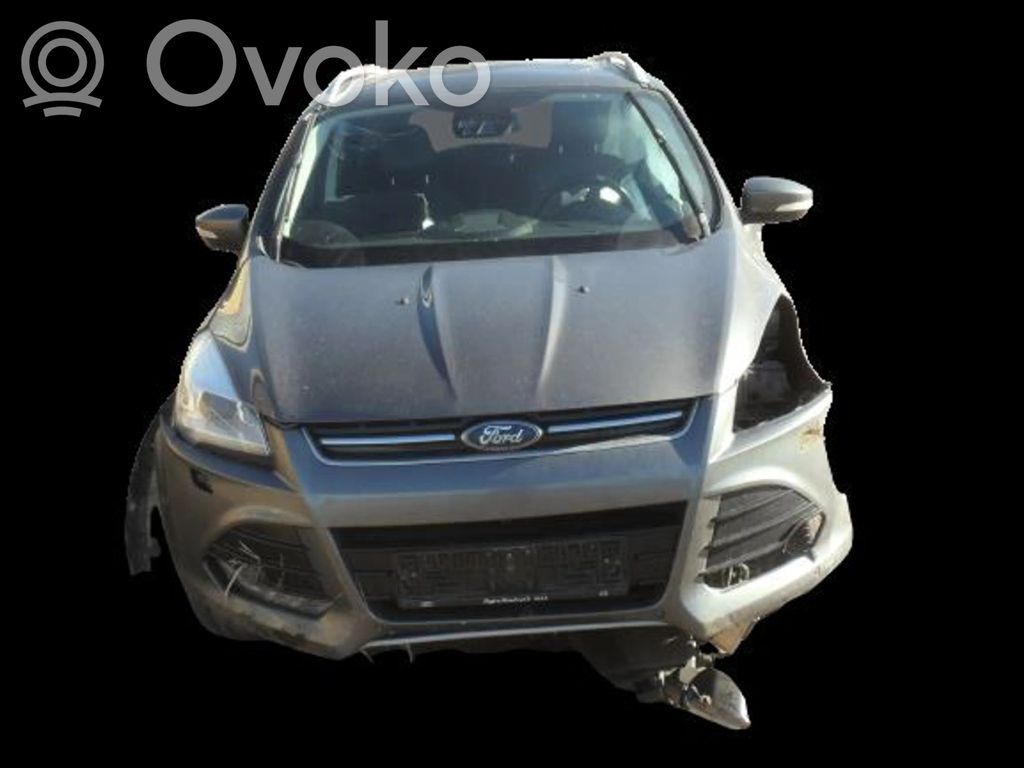 Kuga I Kuga
