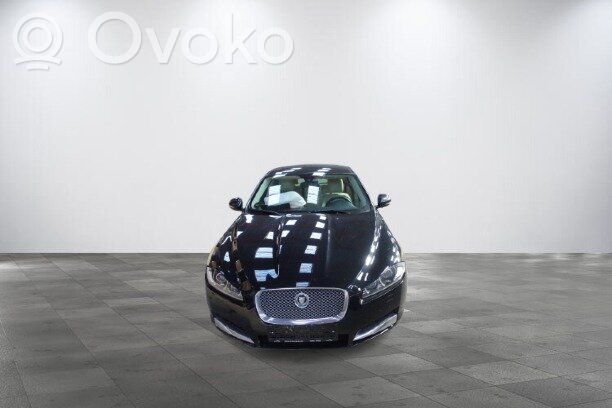 XF XF