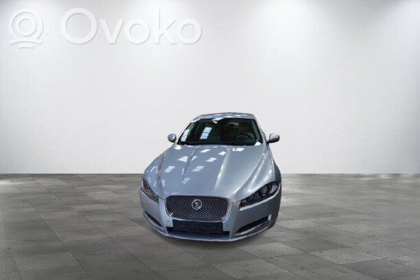 XF XF
