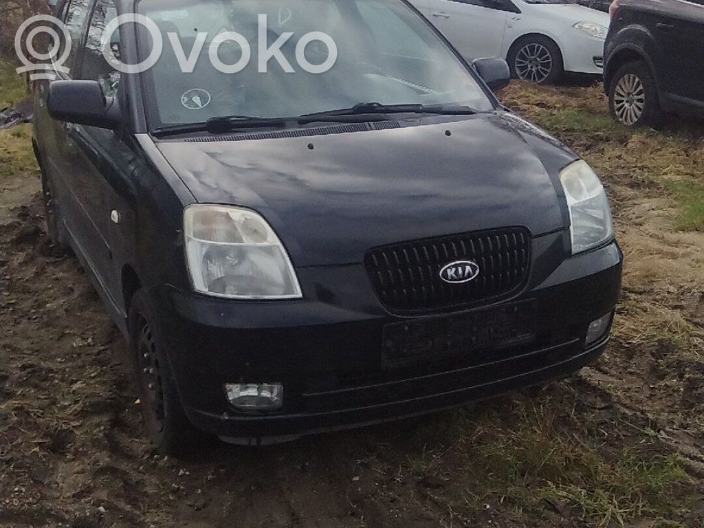 Picanto Picanto  NEDERST