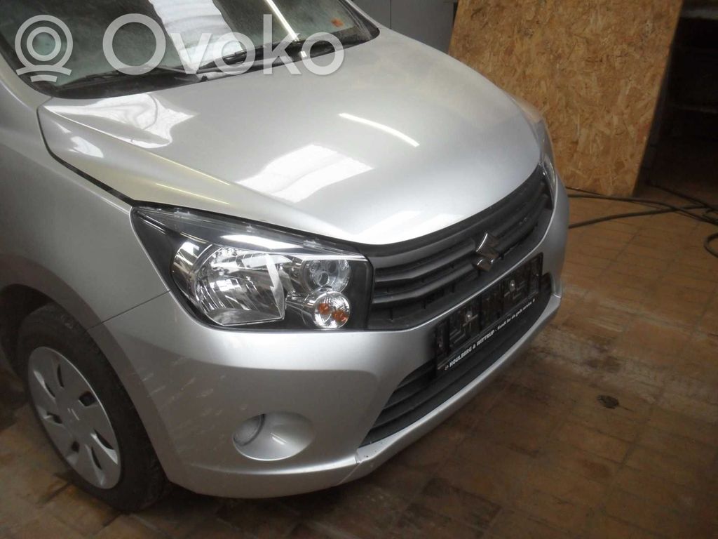 Celerio Celerio