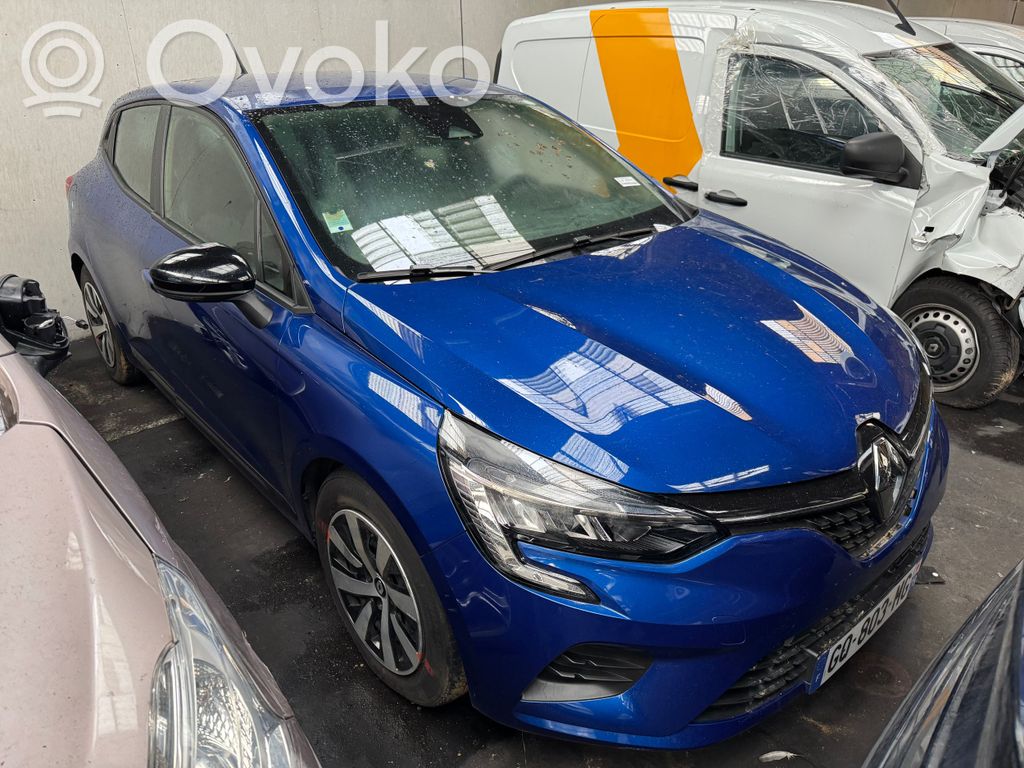 Clio V Clio  14461F270B