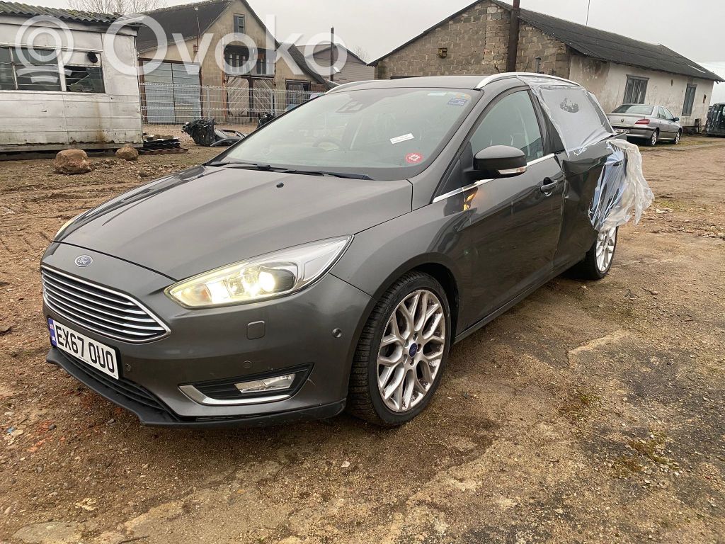 Focus Focus  10139798