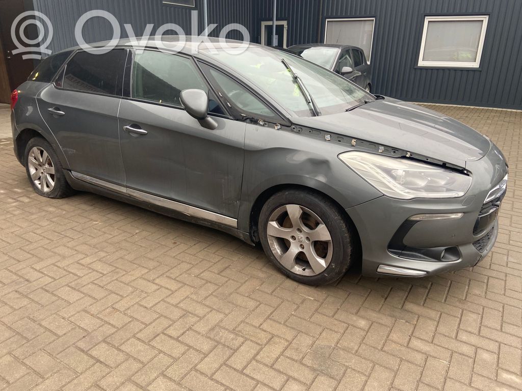 DS5 DS5