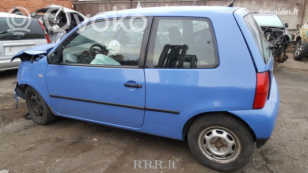 Lupo Lupo
