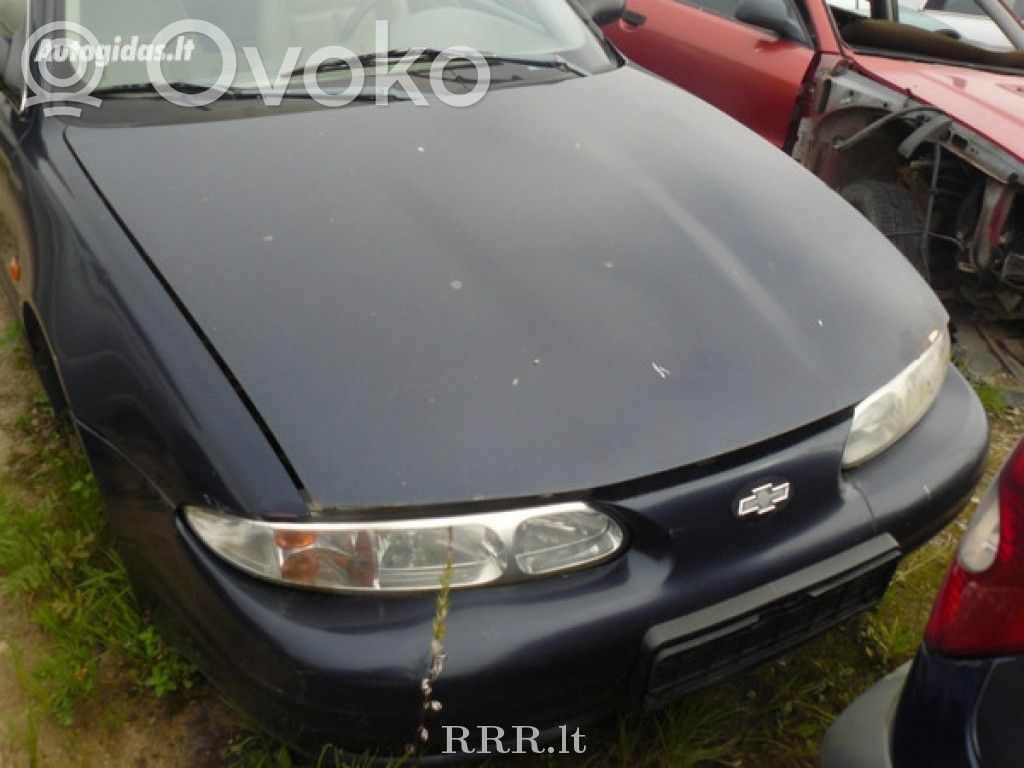 Alero Alero