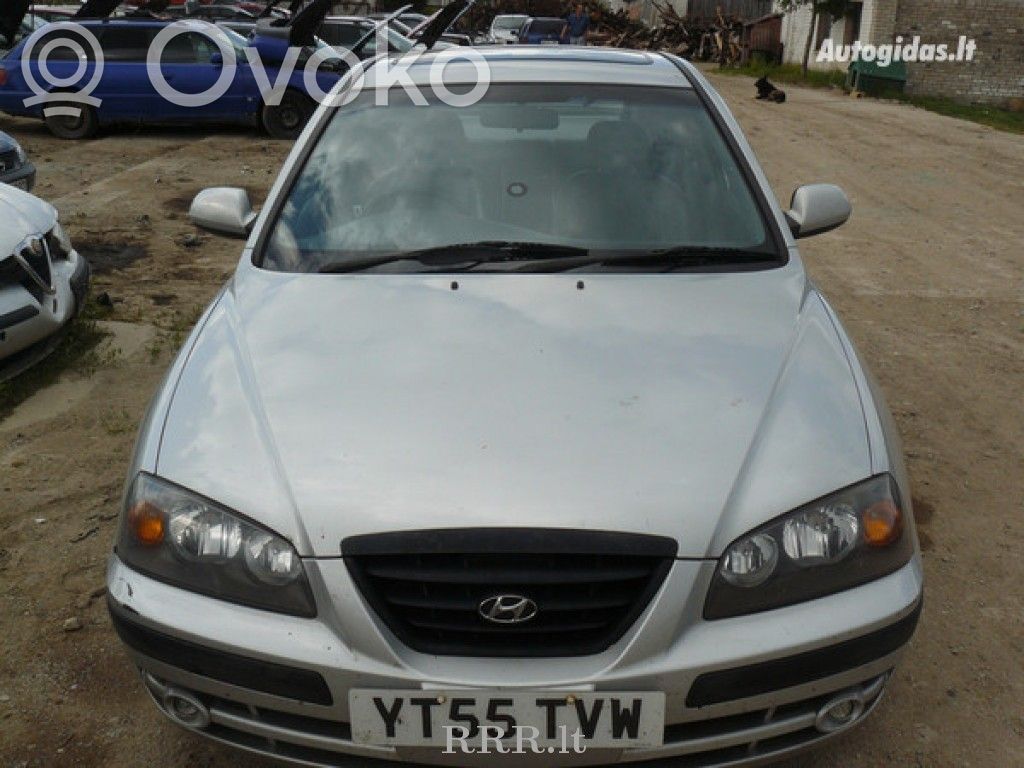 Elantra Elantra  311102D