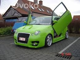 Lupo Lupo