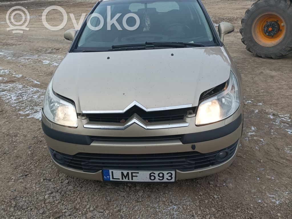 C4 I C4 Picasso, Grand Picasso, Aircross, Cactus