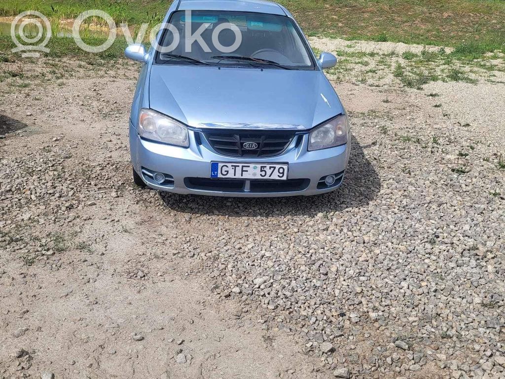 Cerato Cerato