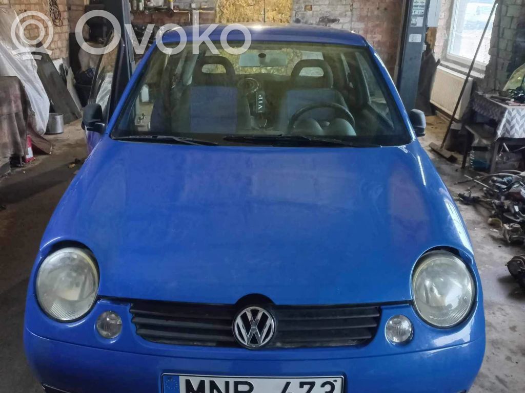 Lupo Lupo