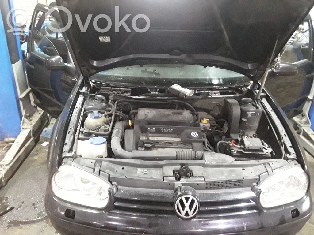 Golf IV Golf