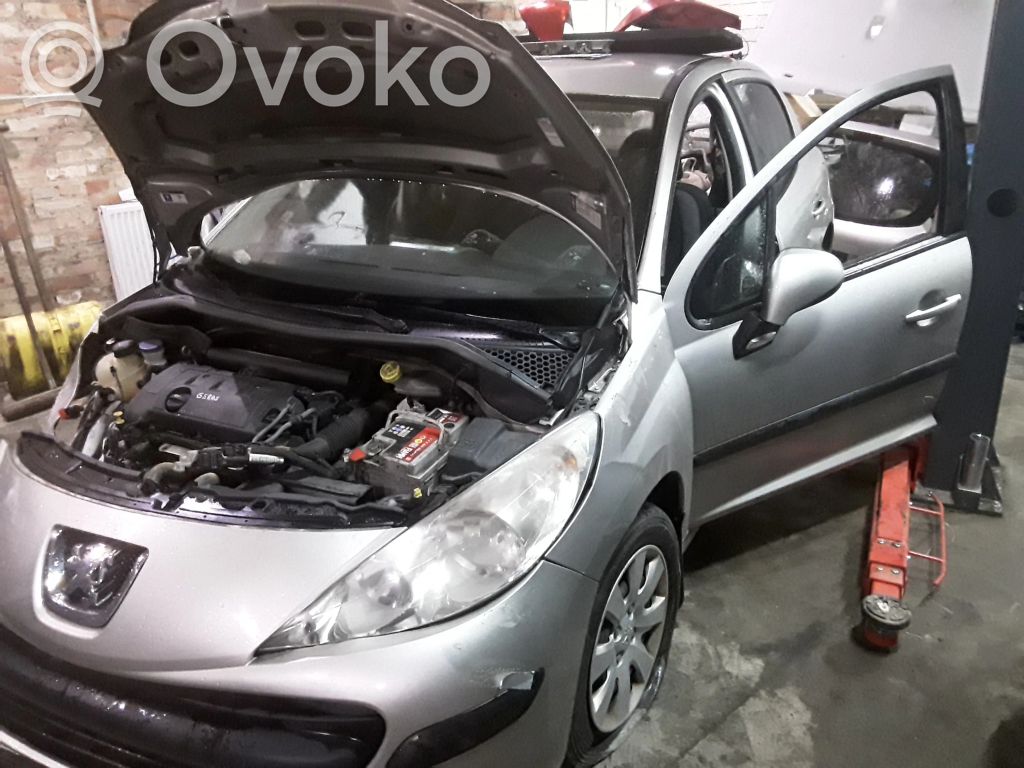 207 207  E40219272