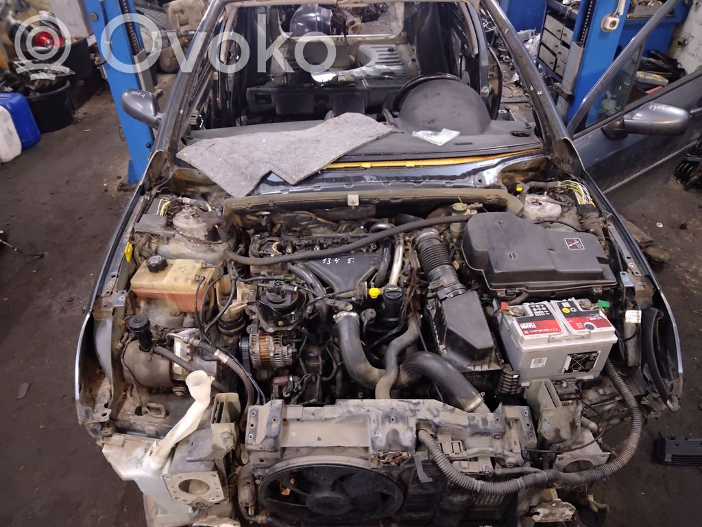 407 407  15710602