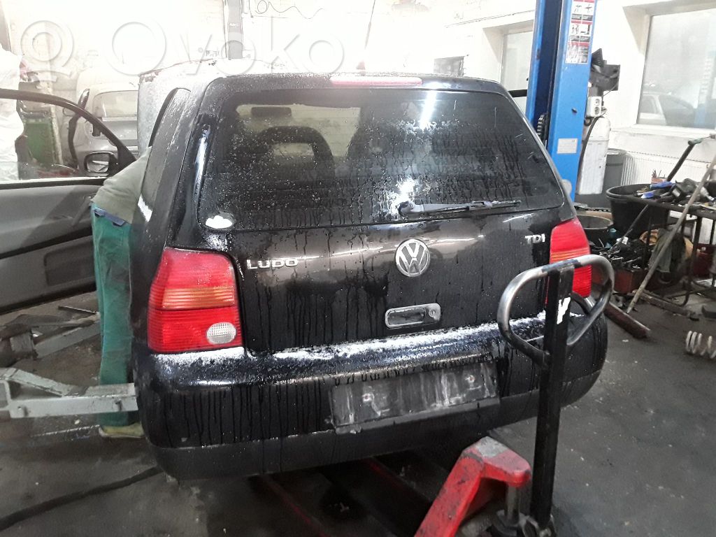 Lupo Lupo