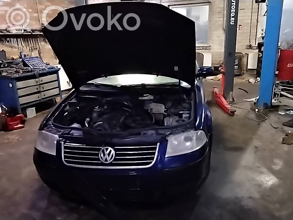 PASSAT B5.5 Passat