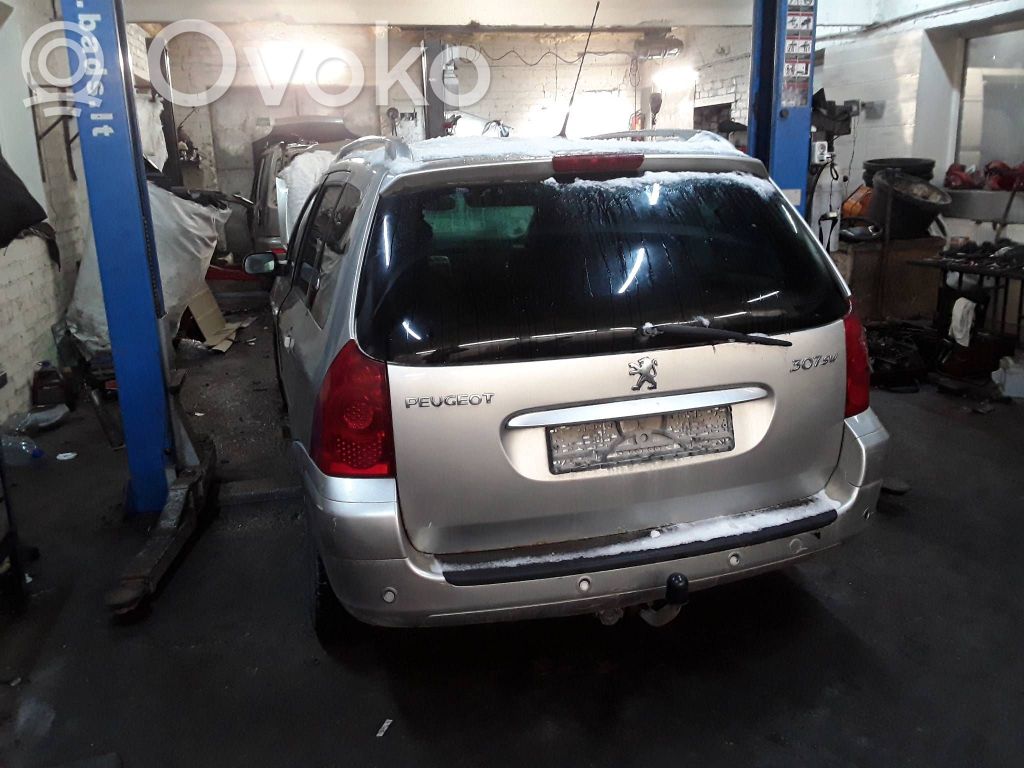 307 307  E9014145
