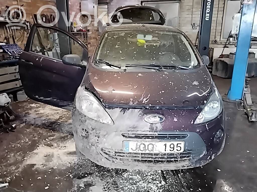 Ka Ka  46469856