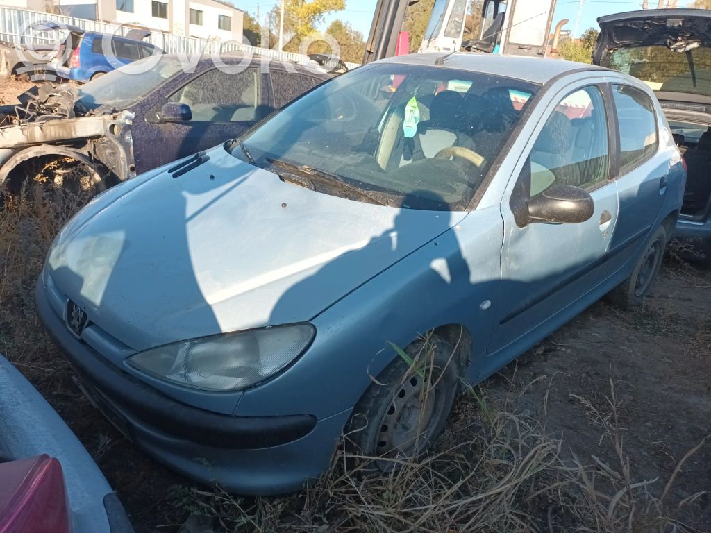 206 206, 206+  96321685