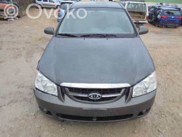 Cerato Cerato