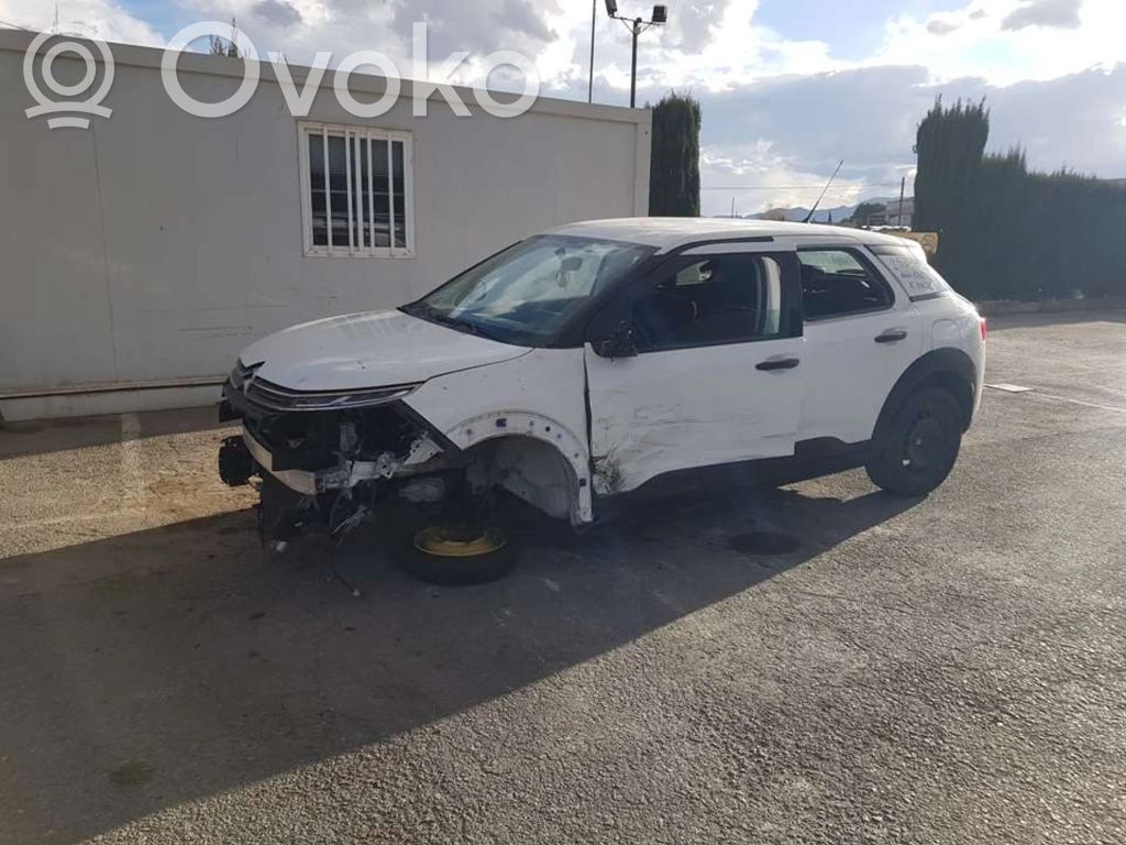 C4 Cactus C4 Picasso, Grand Picasso, Aircross, Cactus  9822423780