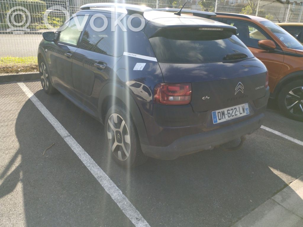 C4 Cactus C4 Picasso, Grand Picasso, Aircross, Cactus