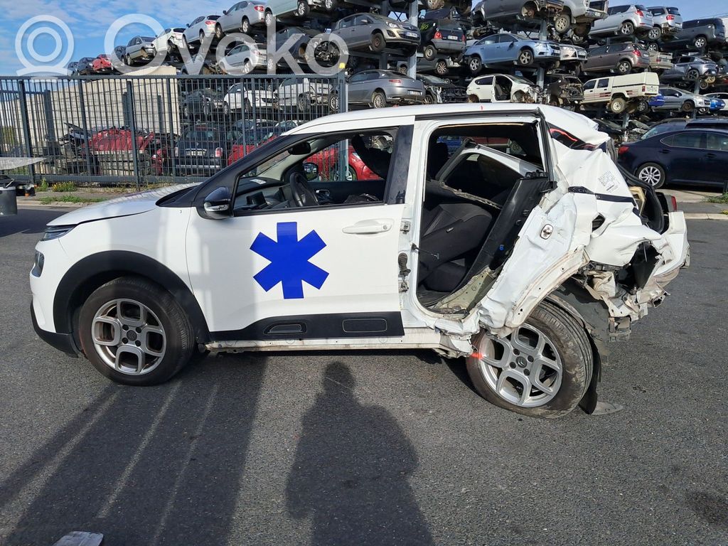 C4 Cactus C4 Picasso, Grand Picasso, Aircross, Cactus  1673629880