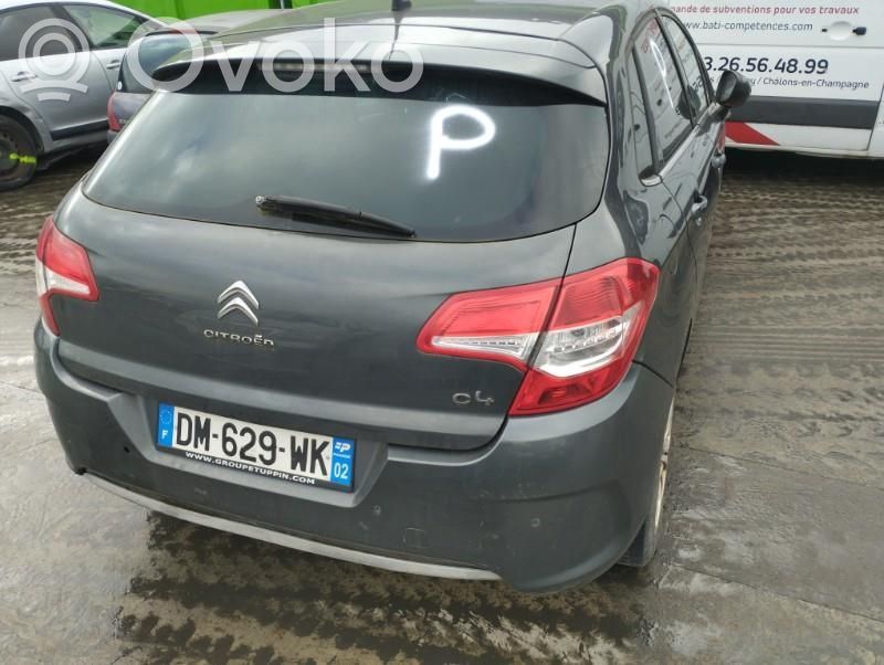 C4 II C4 Picasso, Grand Picasso, Aircross, Cactus  96754516ZD