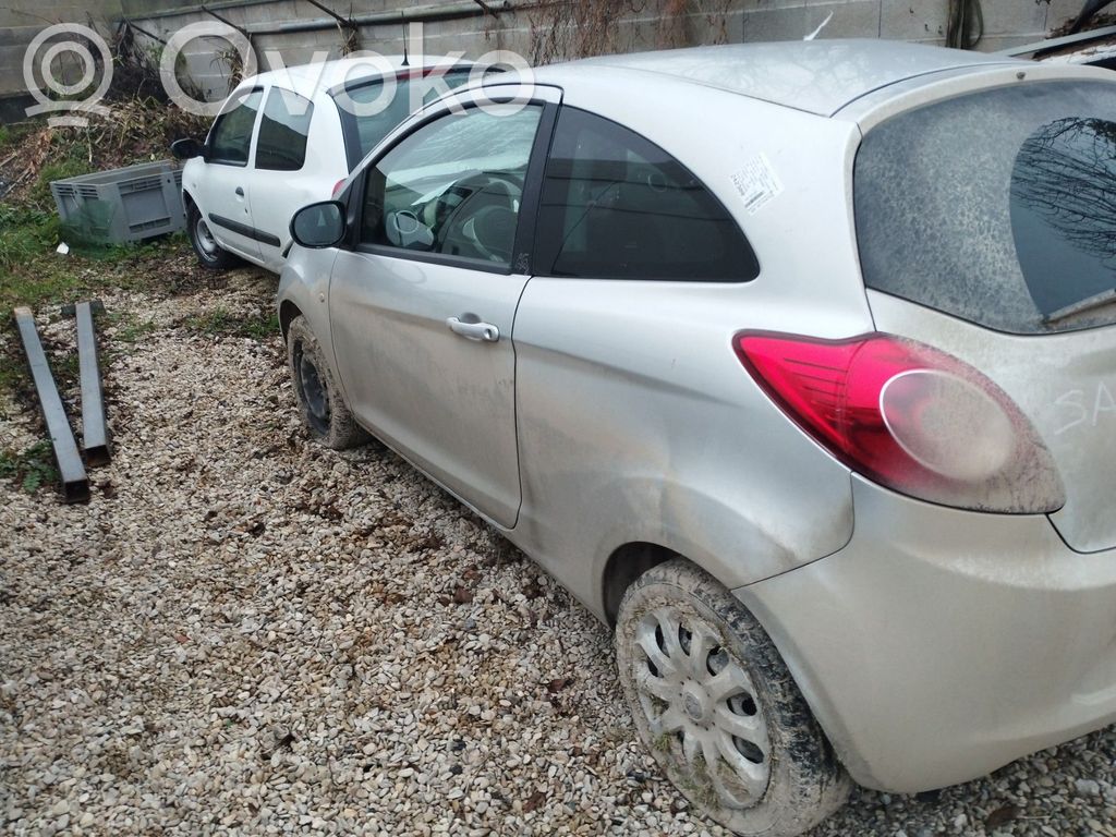 Ka Ka  2343381