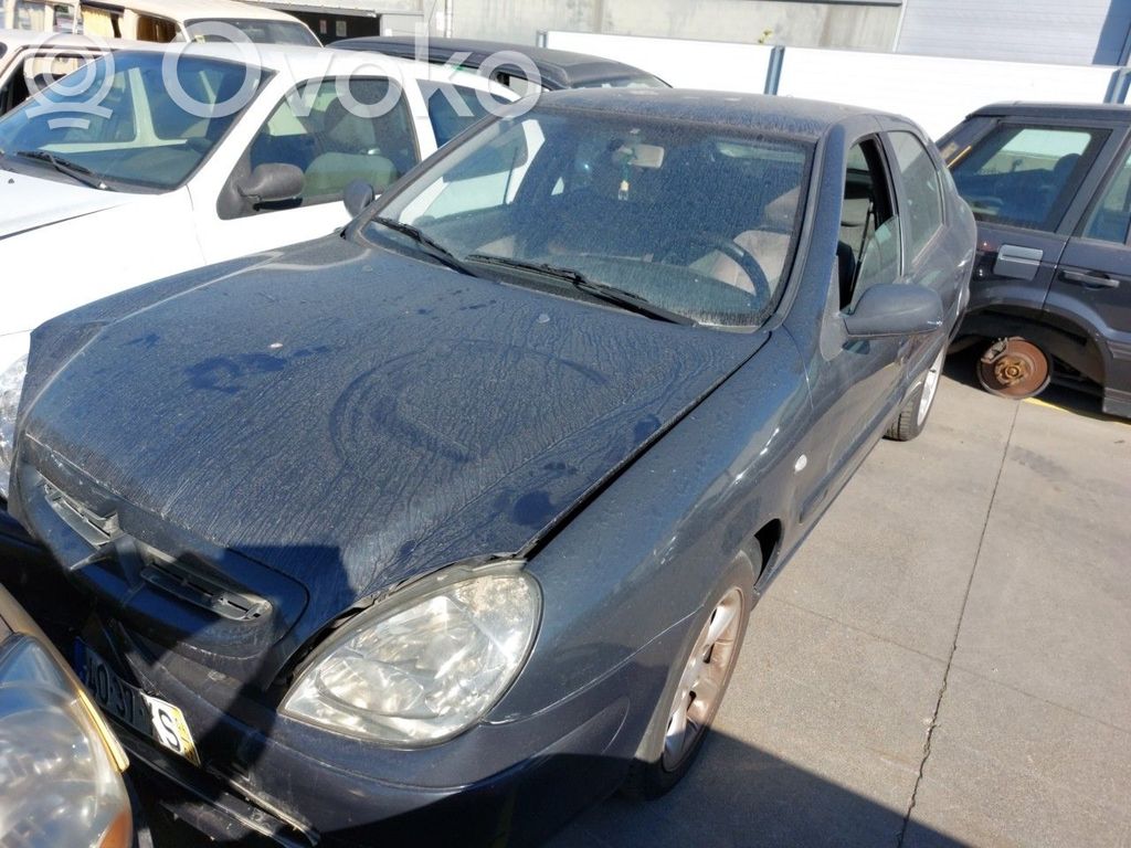Xsara Xsara, Xsara Picasso