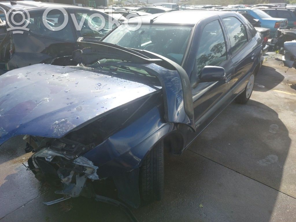 Xsara Xsara, Xsara Picasso