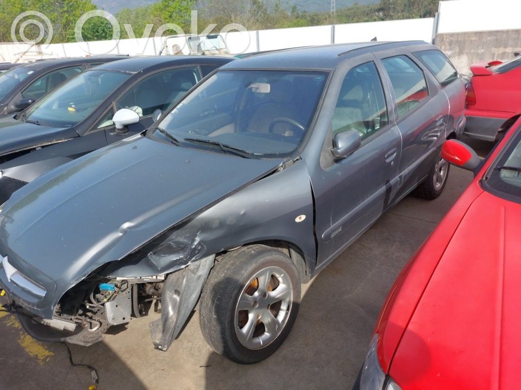 Xsara Xsara, Xsara Picasso