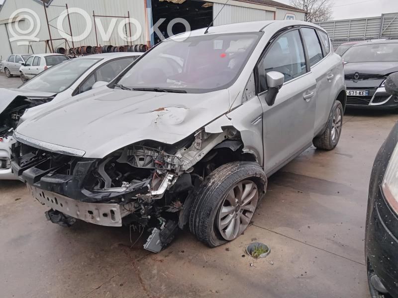 Kuga I Kuga  1498834