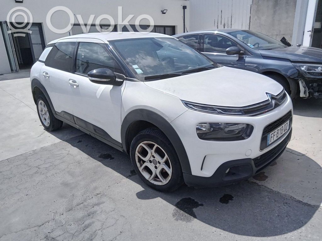 C4 Cactus C4 Picasso, Grand Picasso, Aircross, Cactus  1622804880