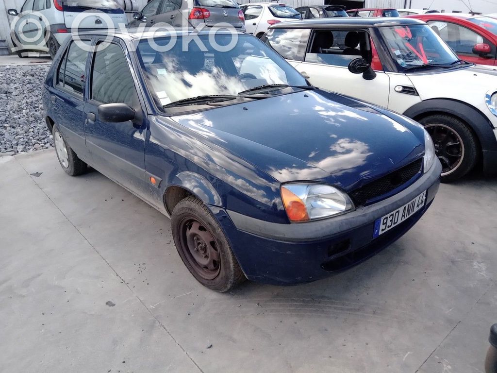 Fiesta Fiesta  1007036