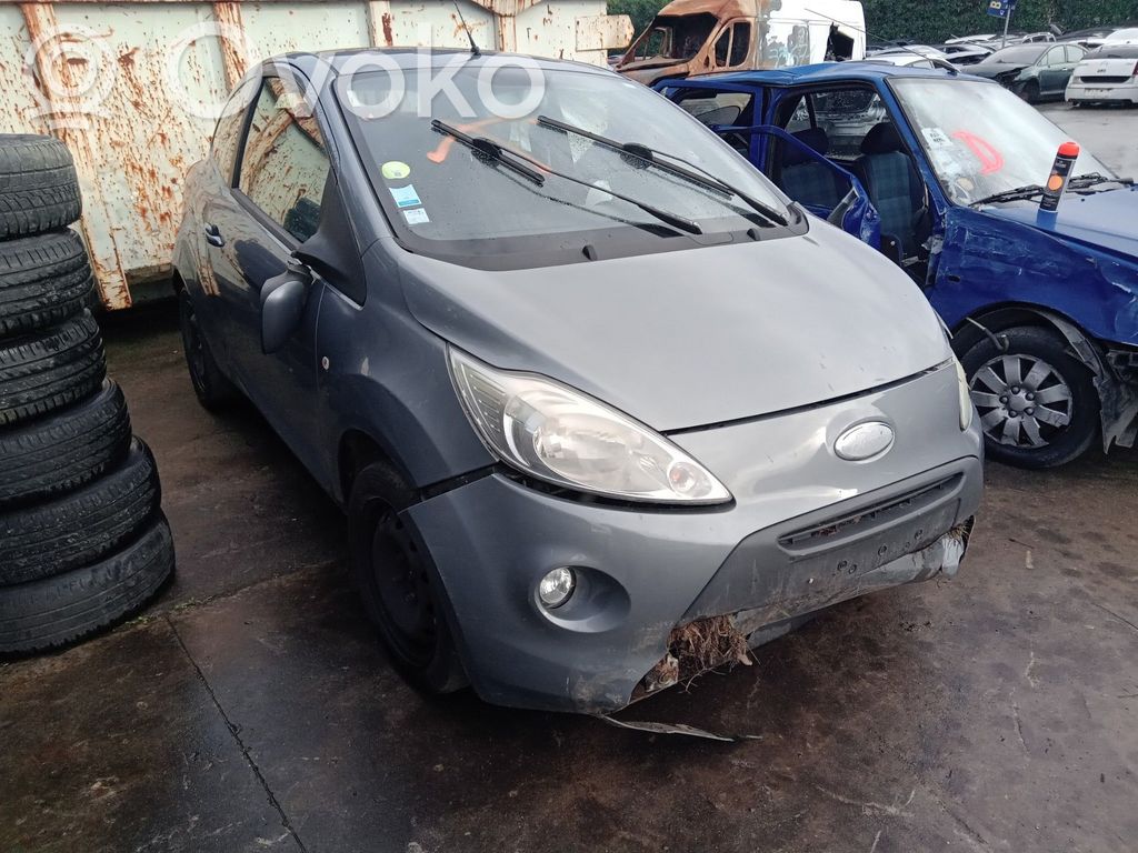 Ka Ka  1673521