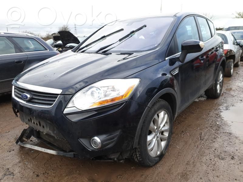 Kuga I Kuga