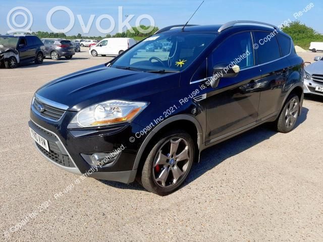 Kuga I Kuga
