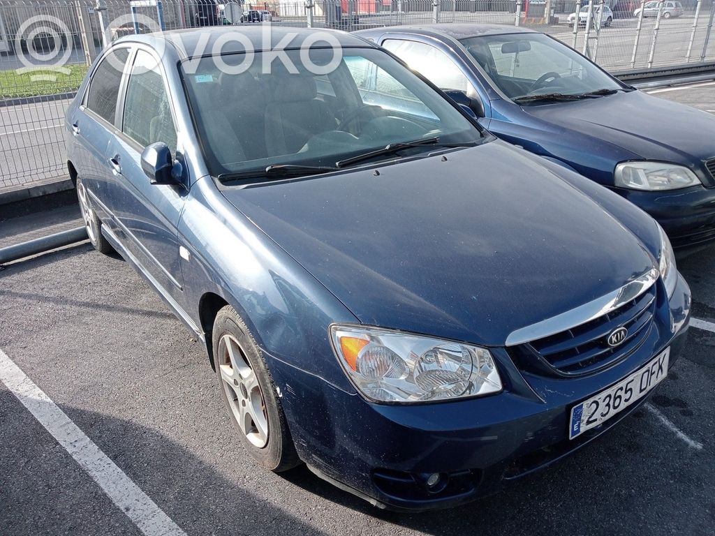 Cerato Cerato