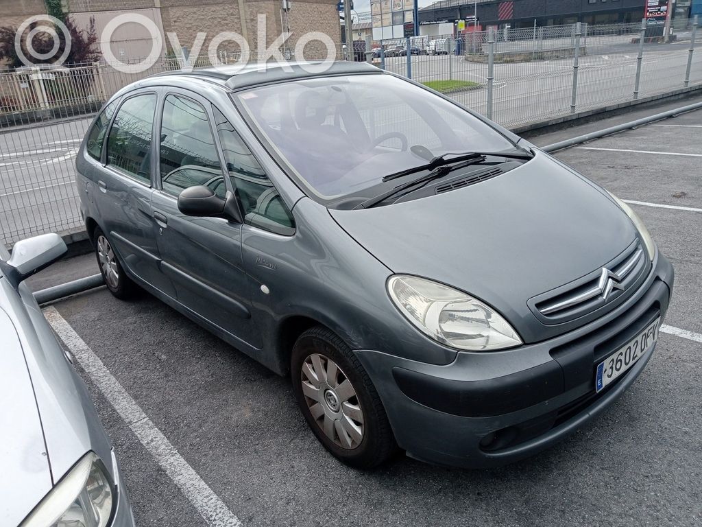 Xsara Xsara, Xsara Picasso