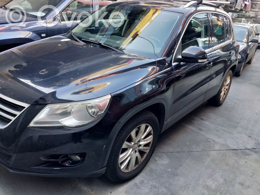 Tiguan Tiguan