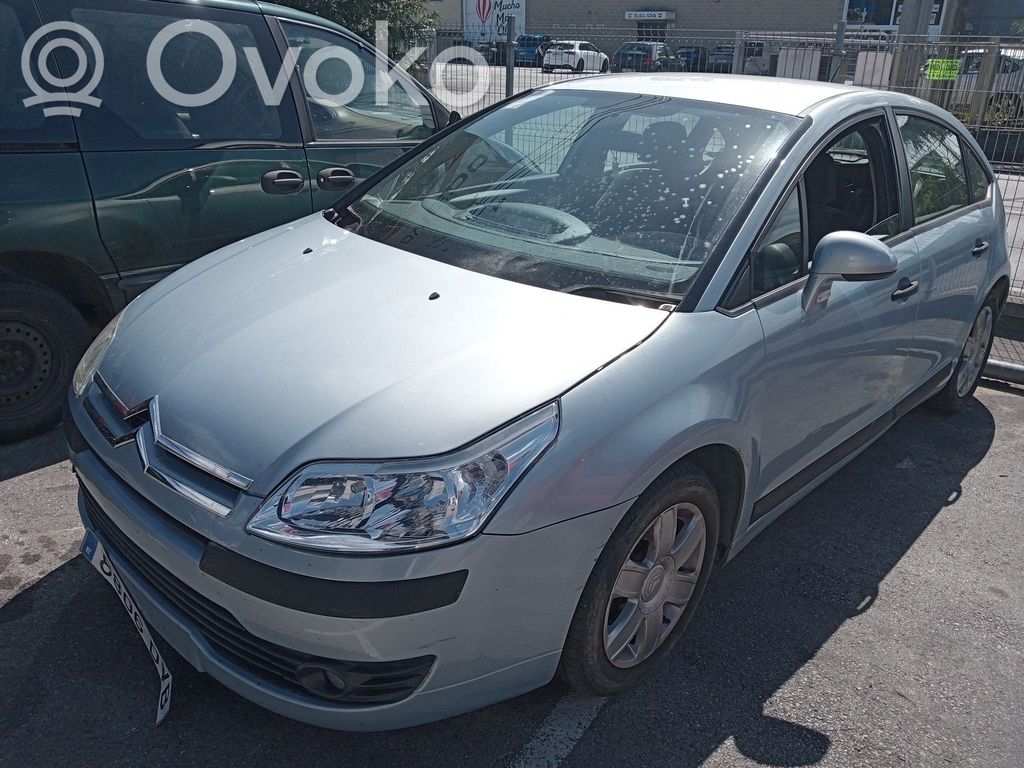 C4 I Picasso C4 Picasso, Grand Picasso, Aircross, Cactus  0280755001