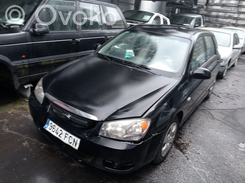 Cerato Cerato  BC141018
