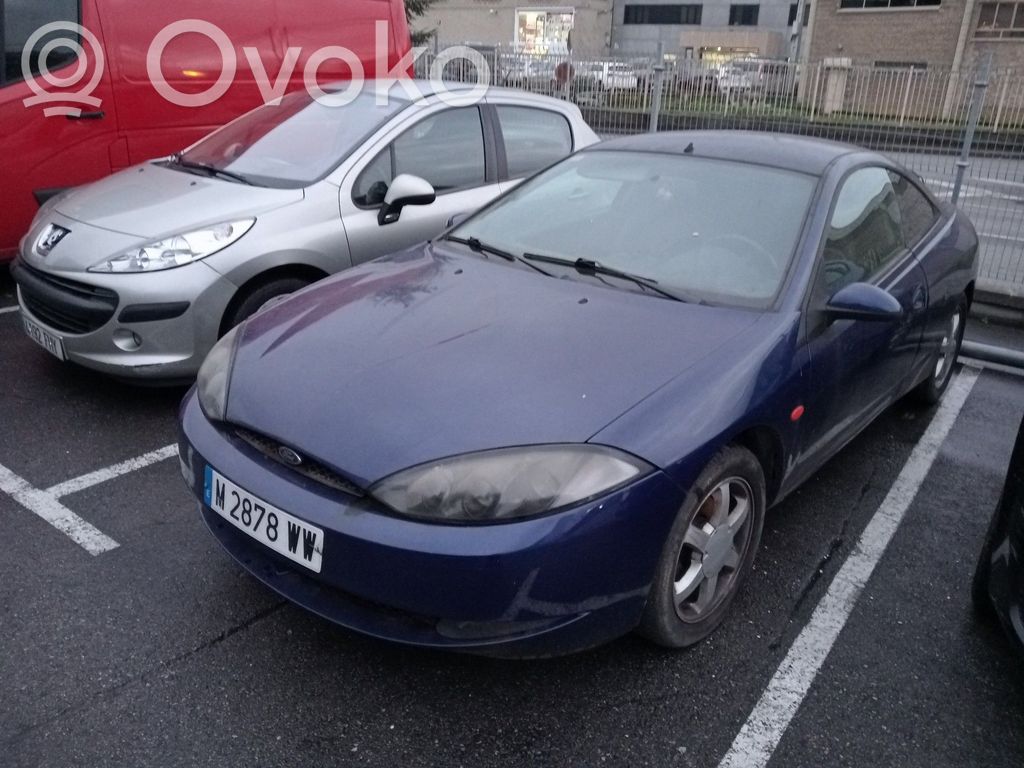 Cougar Cougar  8A011888SC