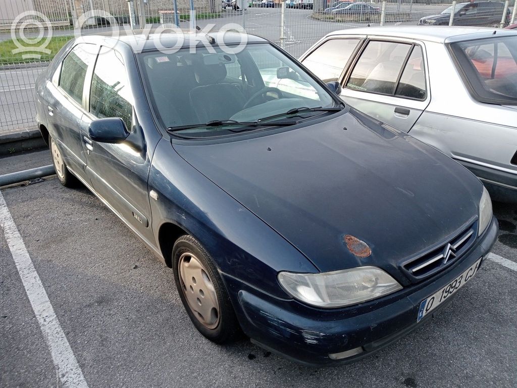 Xsara Xsara, Xsara Picasso