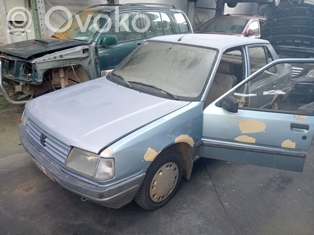 309 309